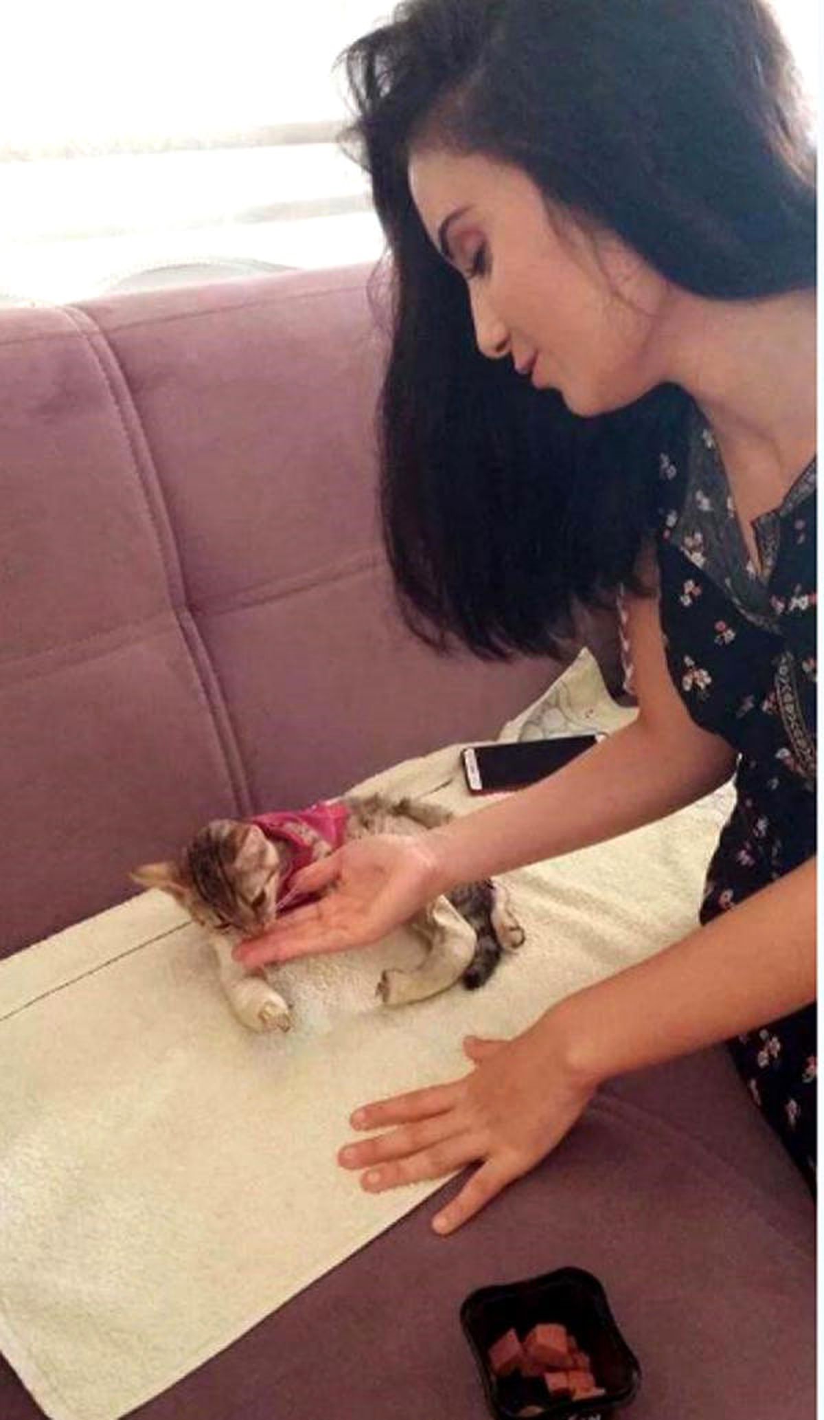 Buse, Yavru Kediyi Yaşama Döndürdü