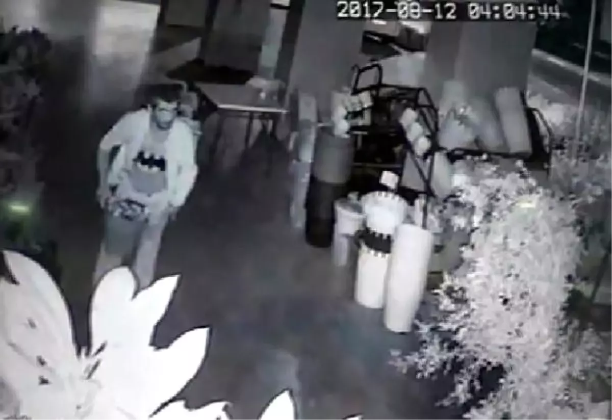 Çiçekçinin Önündeki Kaktüsleri Çaldılar