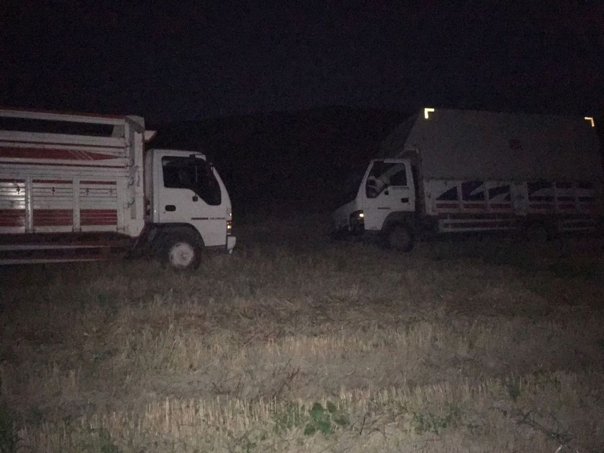 NATO Hattından Mazot Çalan Şüpheliler Jandarmayı Görünce Kamyonları Bırakıp Kaçtı