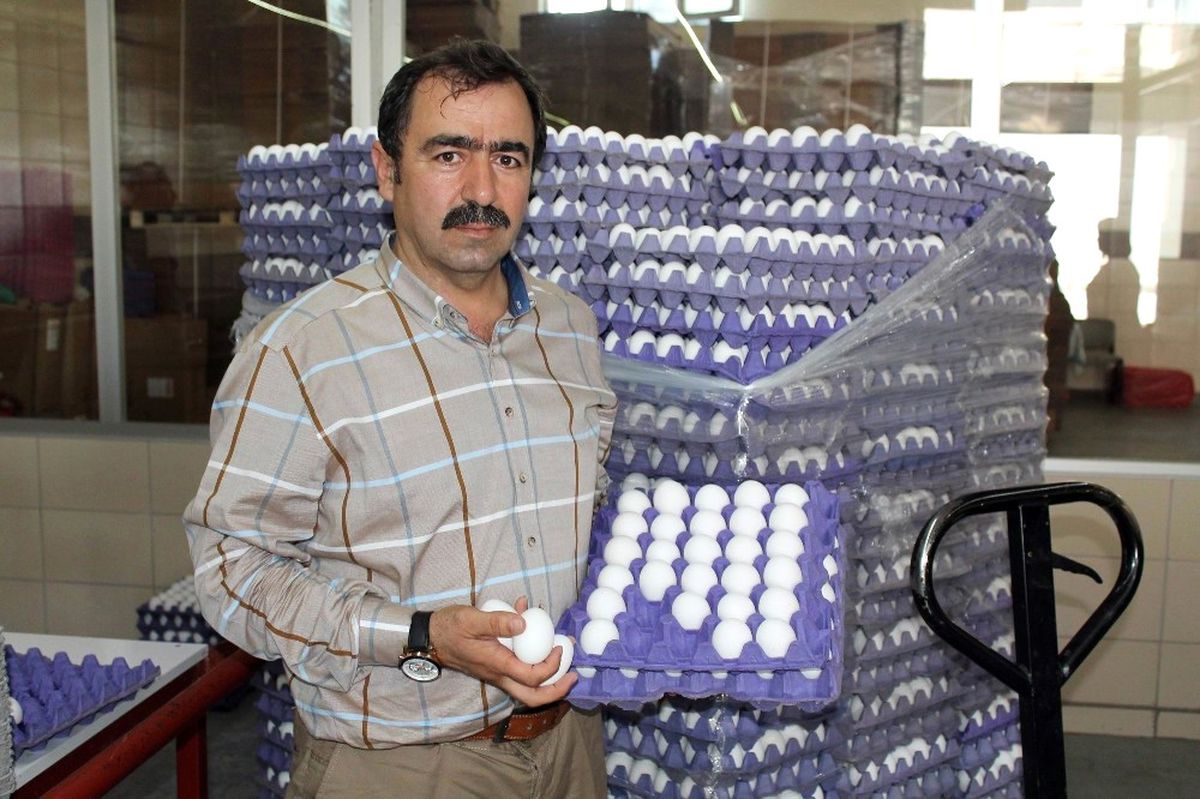 Yum-Bir Başkanı Afyon: "Türk Yumurtasında Zehir Yok"