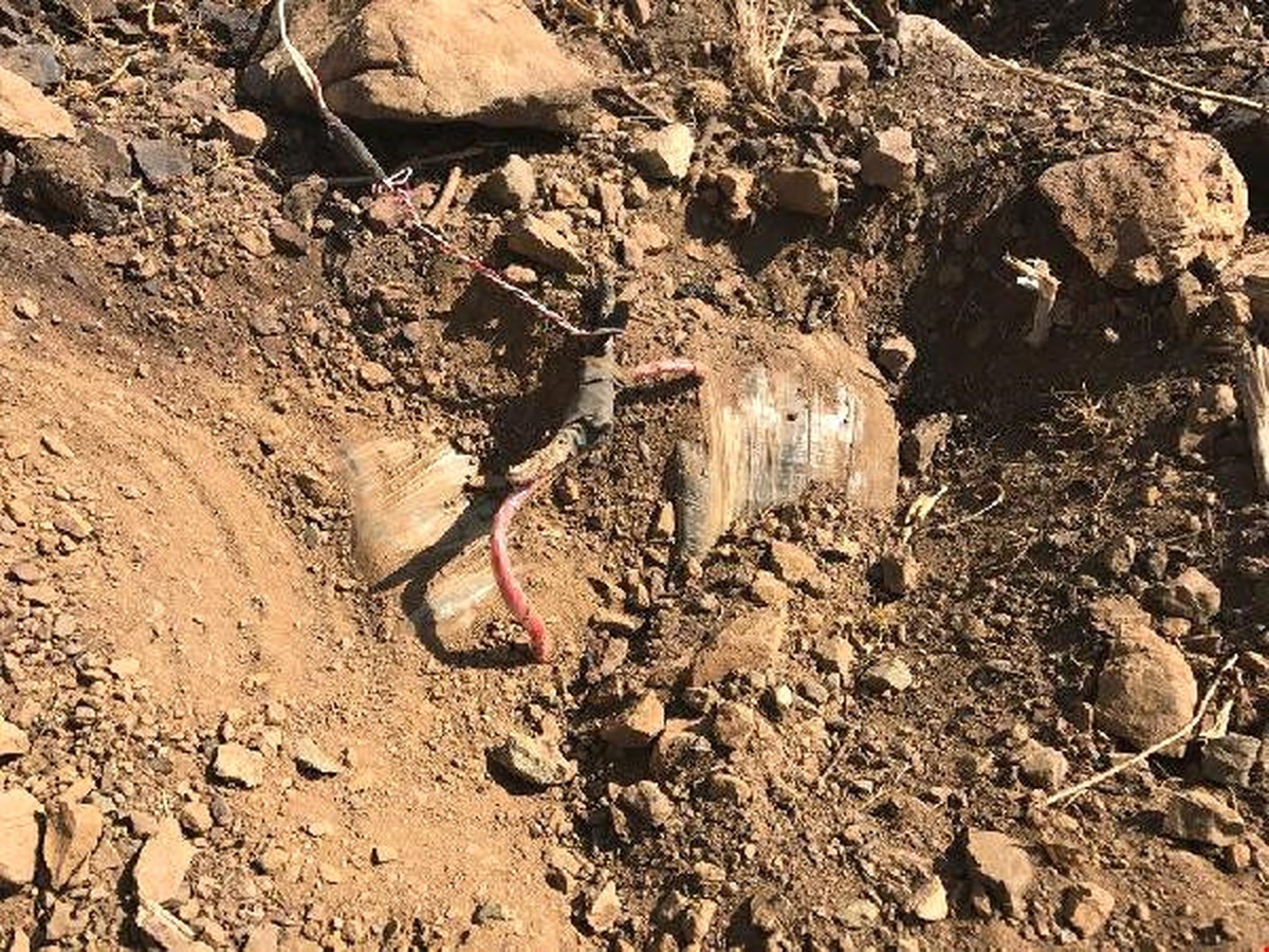 Şemdinli\'de PKK\'lıların Tuzakladığı 5 Patlayıcı İmha Edildi