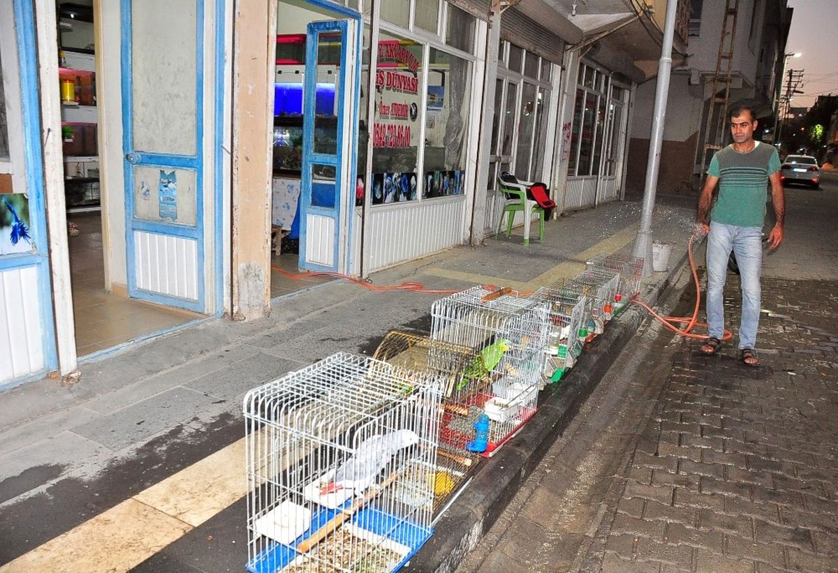 Süs Hayvanları Buz ile Serinletiliyor