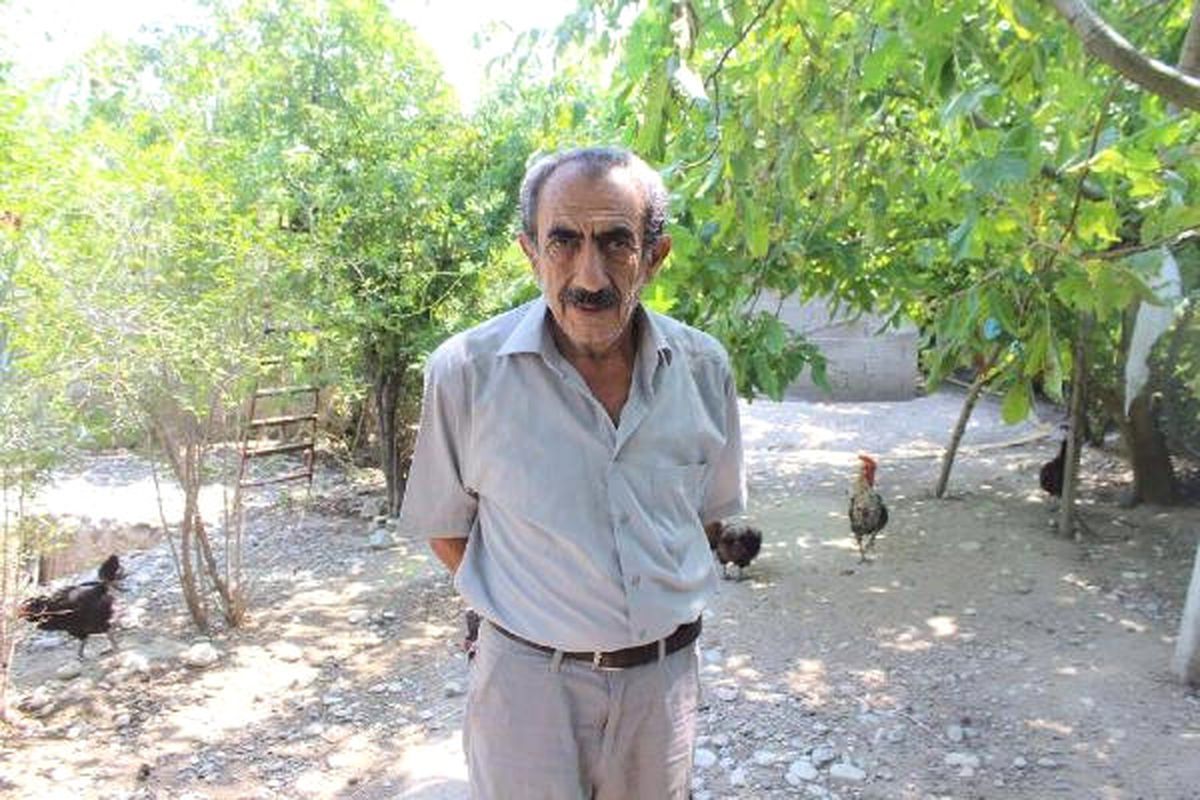 Tatildeyken 150 Tavuğu Çalındı