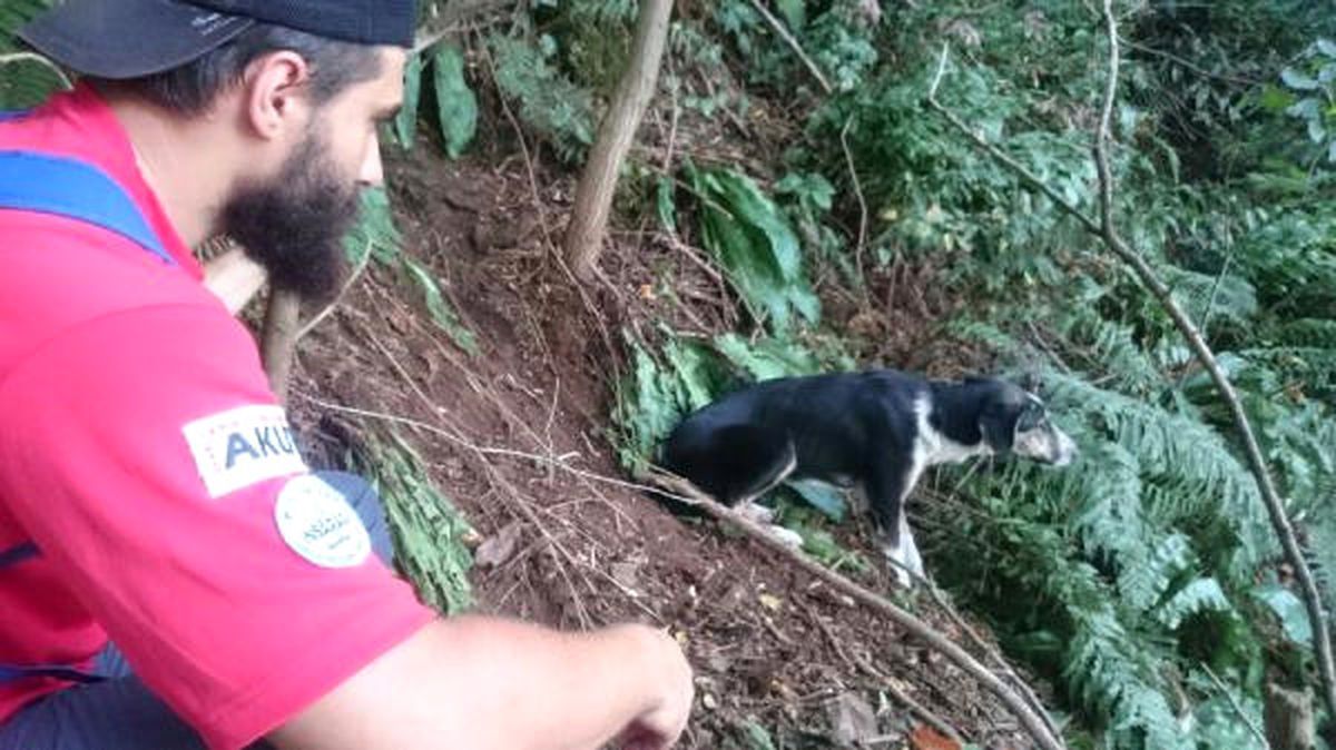 Tel ile İşkence Yapılan Köpeği Akut Kurtardı