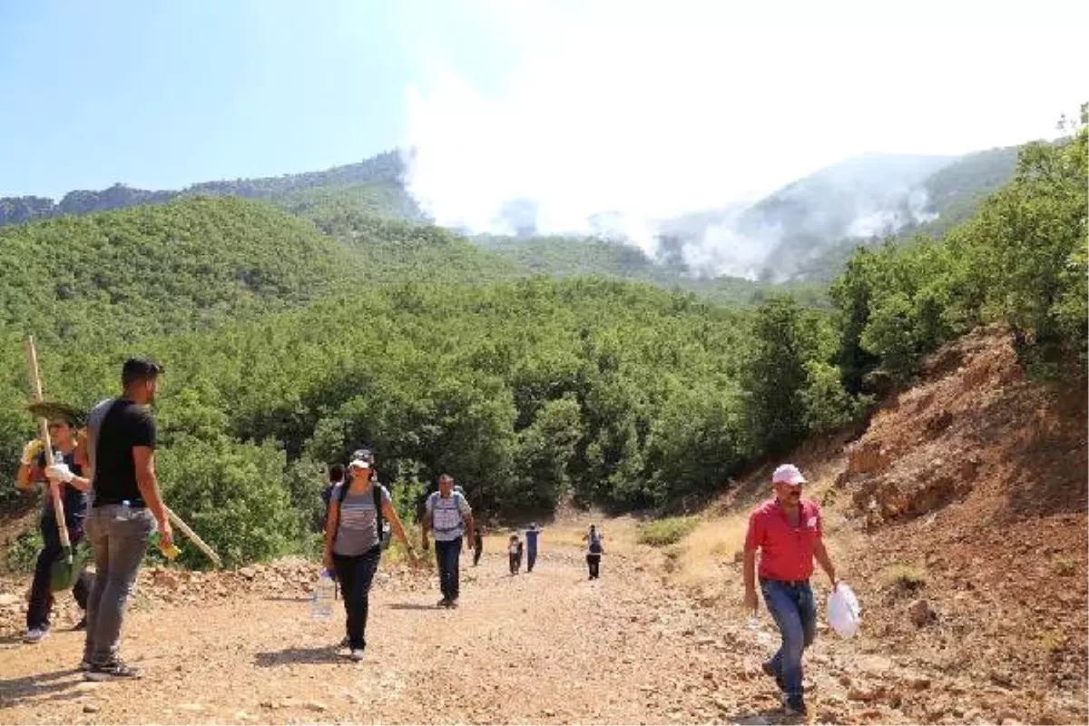 Tunceli\'de Orman Yangınları