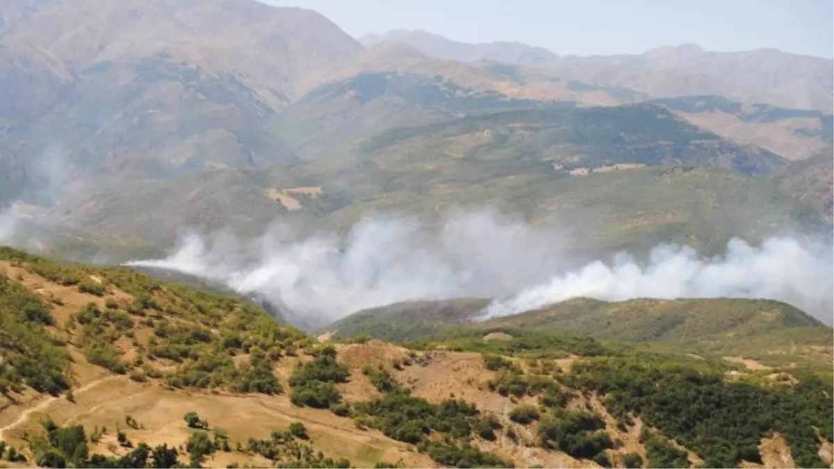 Tunceli\'deki Orman Yangınları