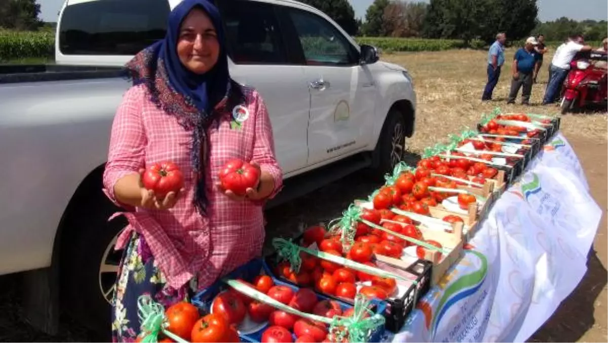 Dümrek Köyü\'nde Tarla Günü Düzenlendi