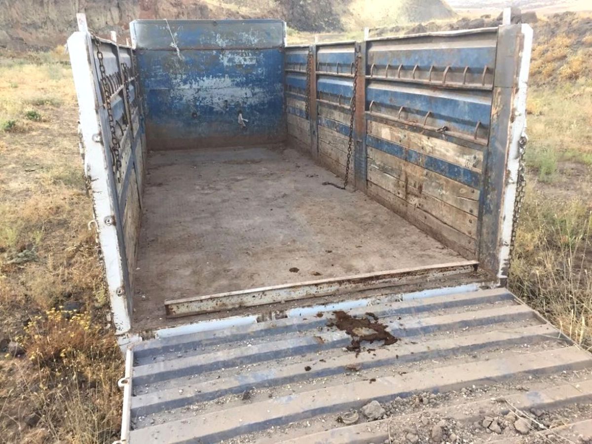 Hırsızlar Kamyonu ve Hayvanları Bırakıp Kaçtı