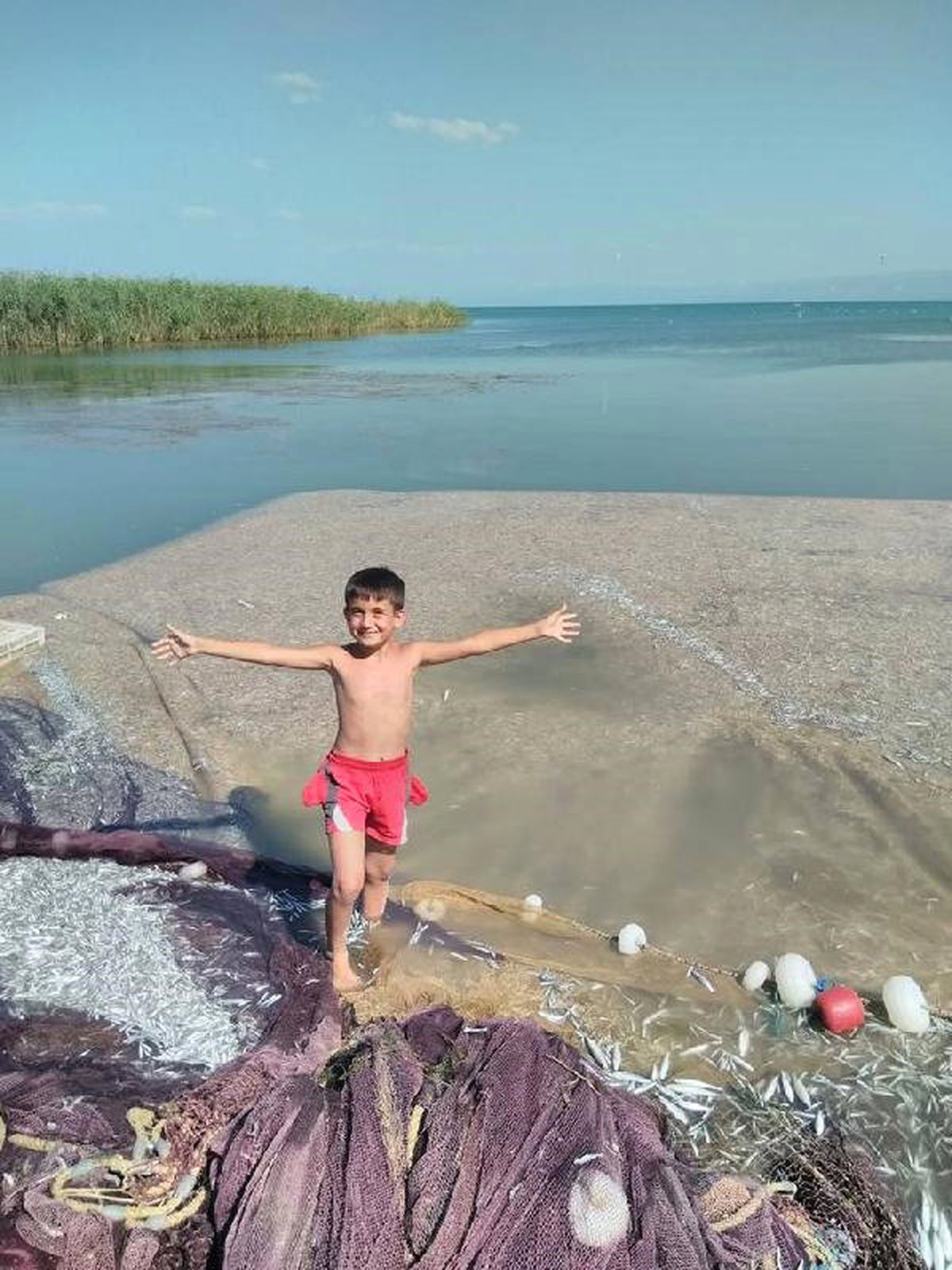 İznik Gölü\'nde Gümüş Balığı Bereketi
