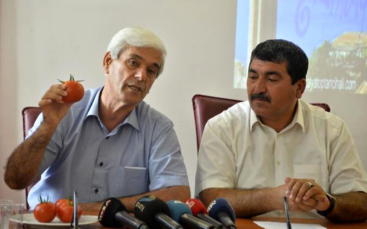 Rusya\'ya Domates Yiyerek Tepki Gösterdiler