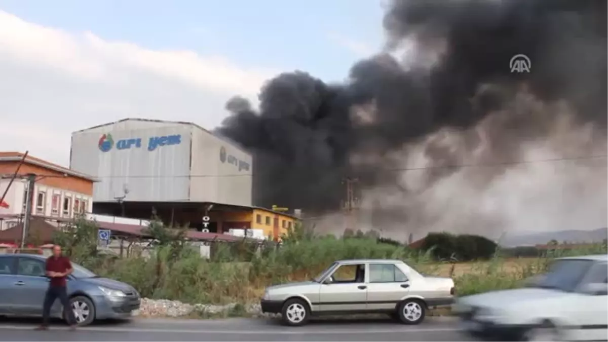 Sıkıştırılmış Ahşap Pelet Fabrikasında Yangın (2)