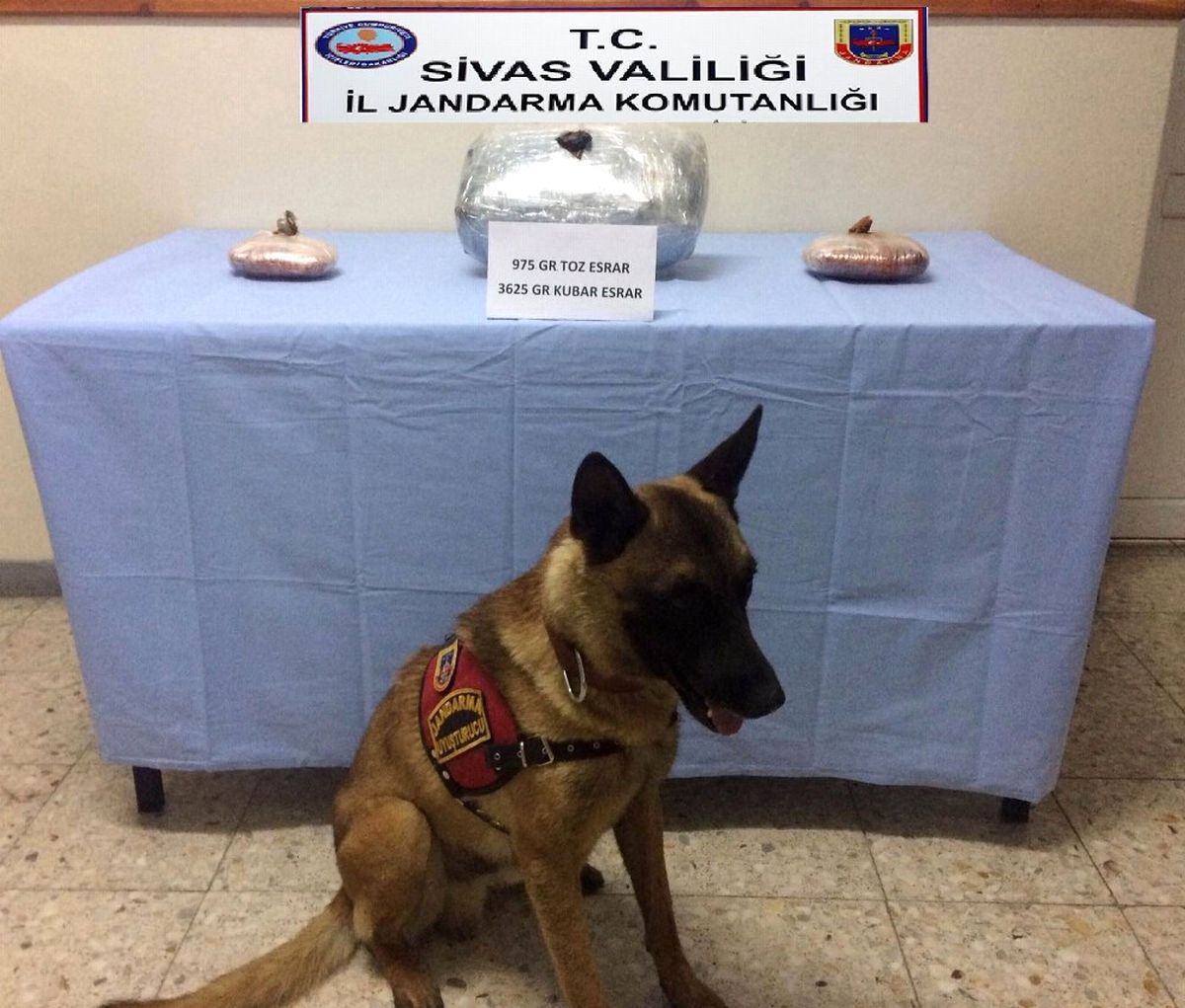 Sivas\'ta Kaçakçılık Operasyonu: 20 Gözaltı