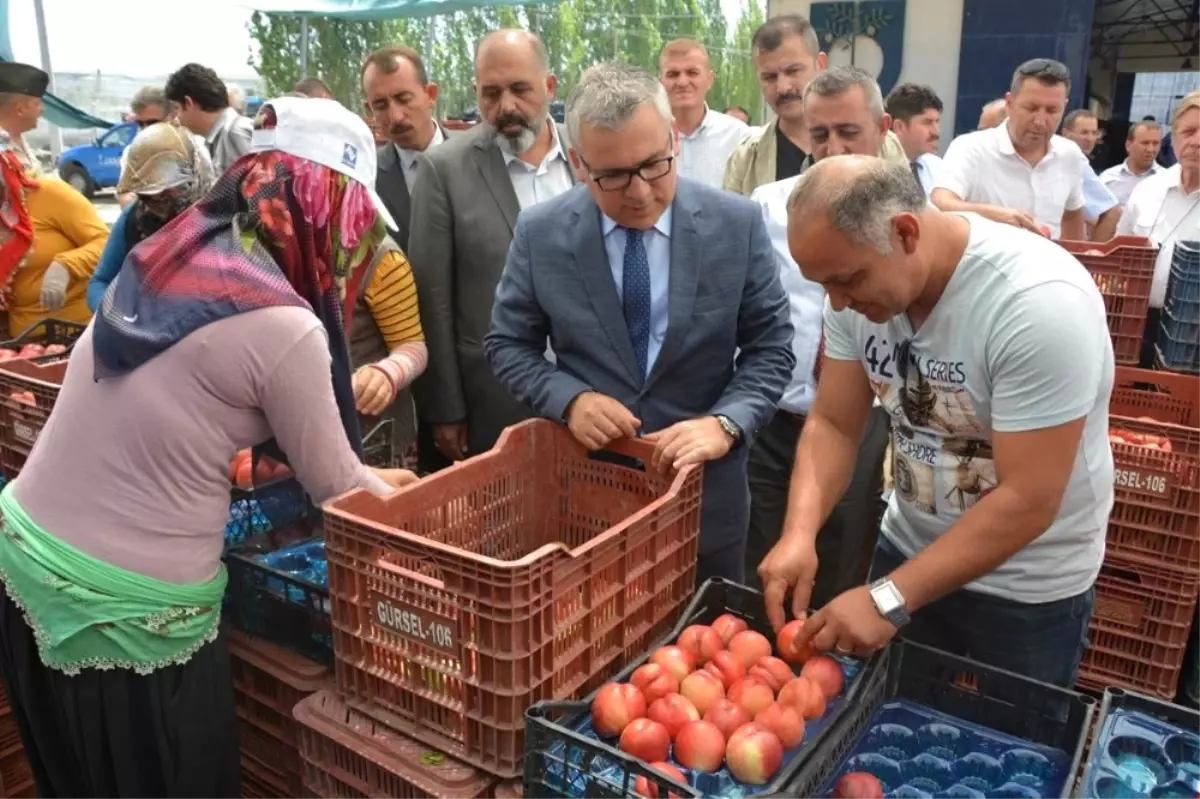 Vali Şimşek, Nektari Hasadı Yaptı