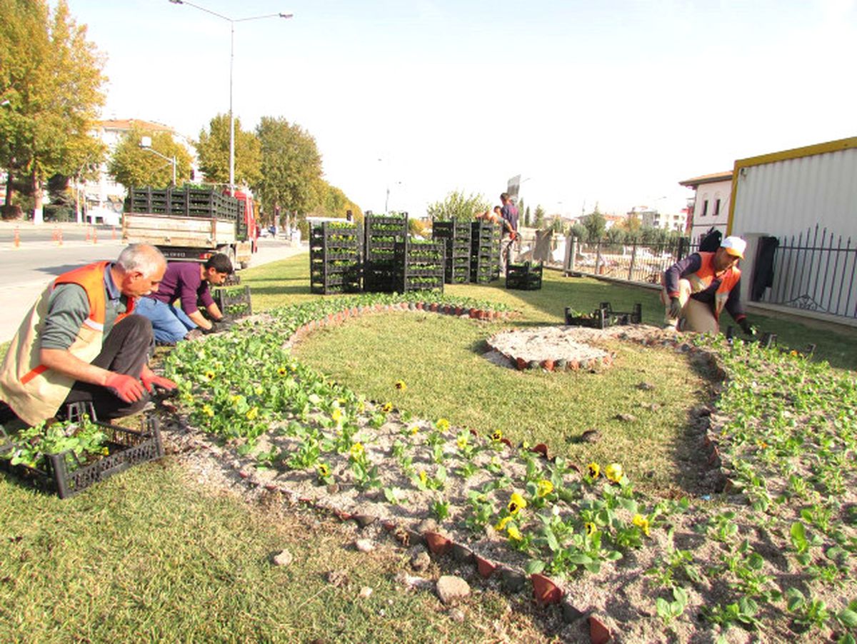 Van\'da 300 Bin Çiçek ile 35 Bin Fidan Dikildi