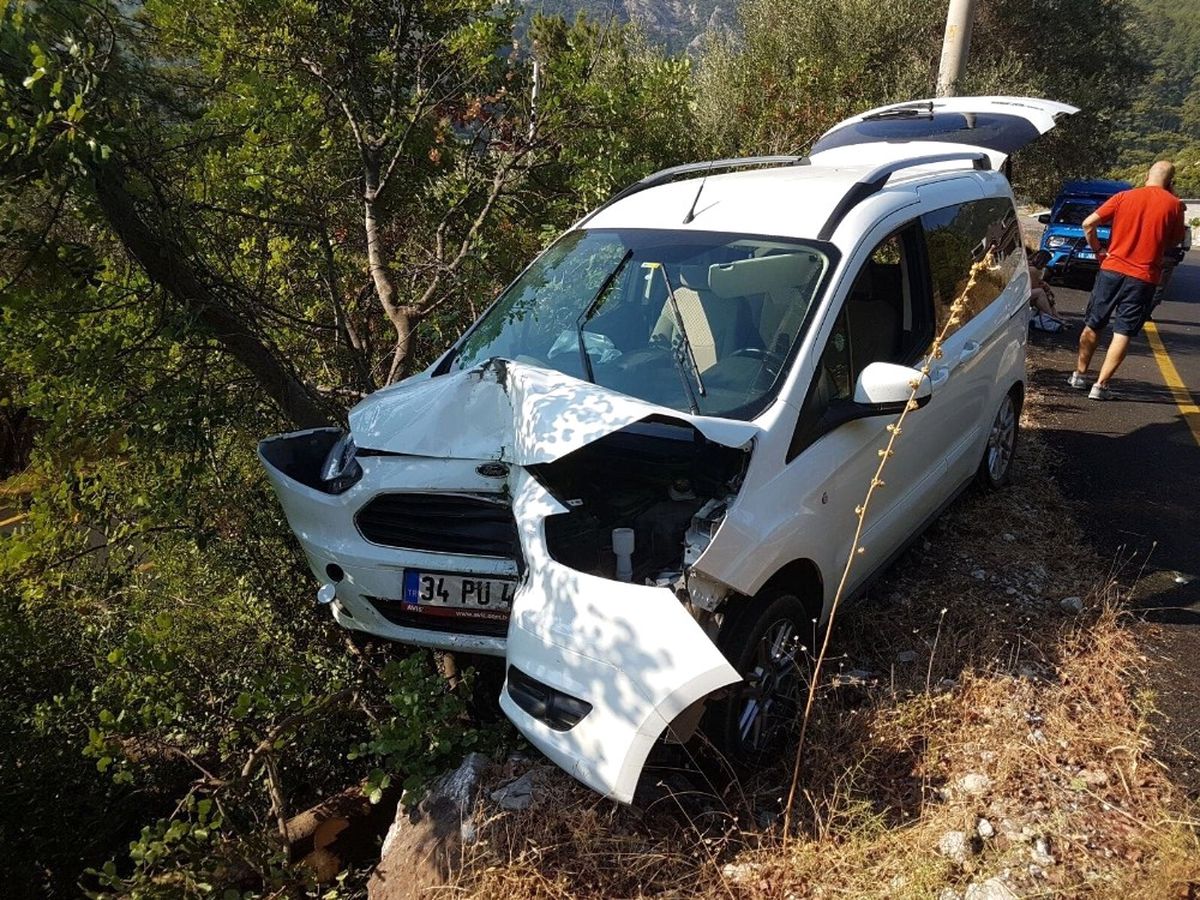 Arıdan Korkan Sürücü Kaza Yaptı