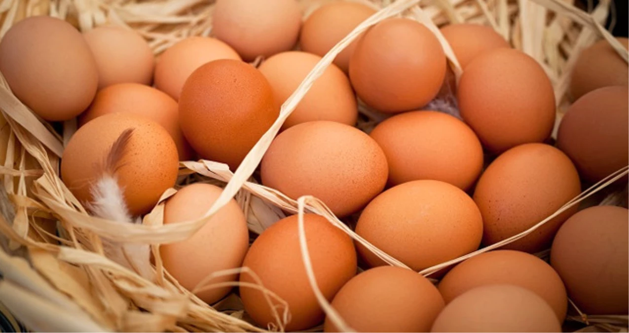 İlaçlı Yumurta Skandalı, 19 Ülkeye Yayıldı