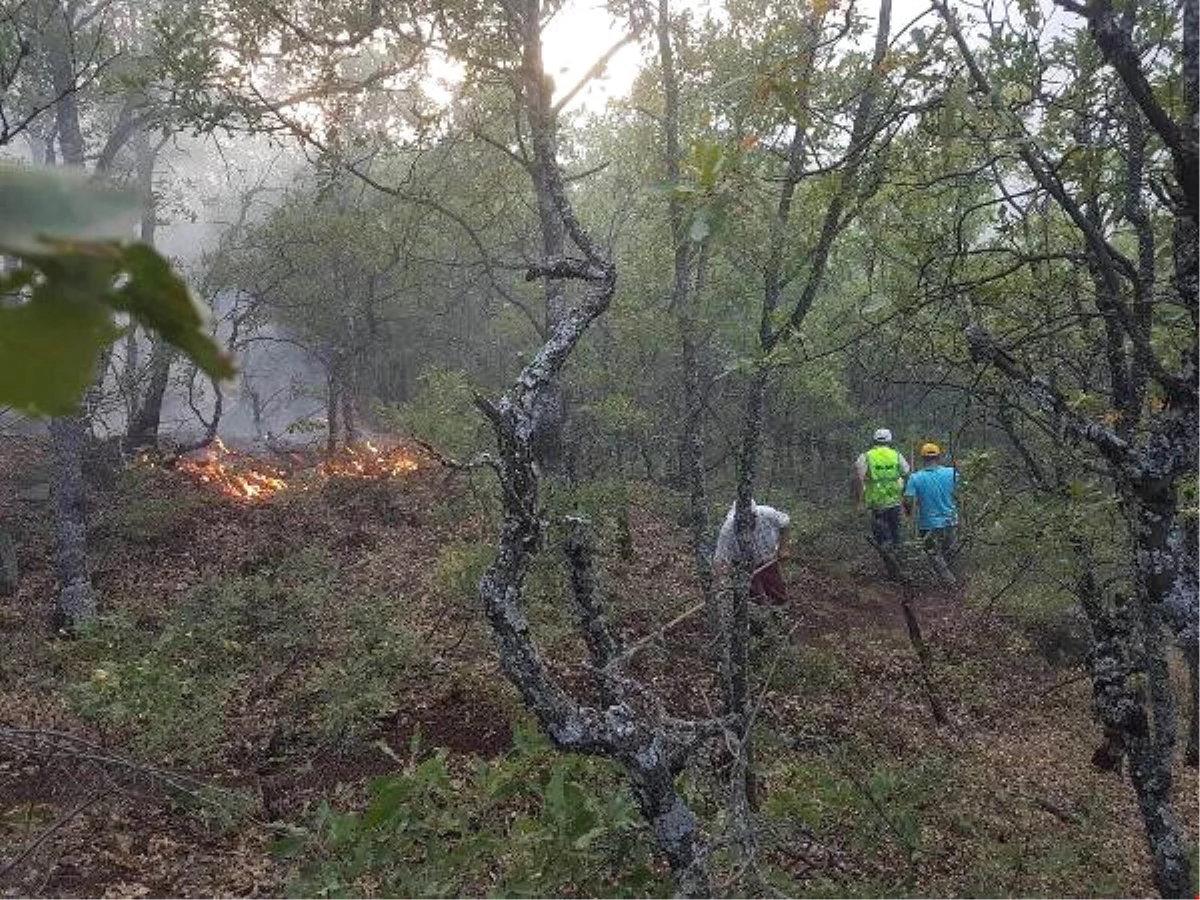 Dha Yurt - Tunceli Valiliği: Orman Yangınları Kontrol Altına Alındı