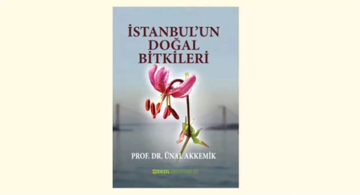 İstanbul\'un 982 Bitkisi