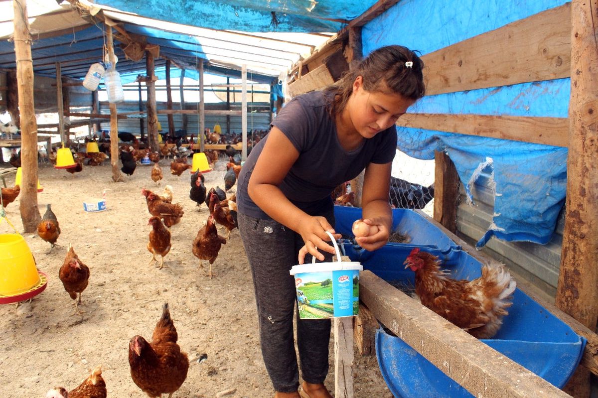 Izmirli Heidi Veteriner Olmak Istiyor