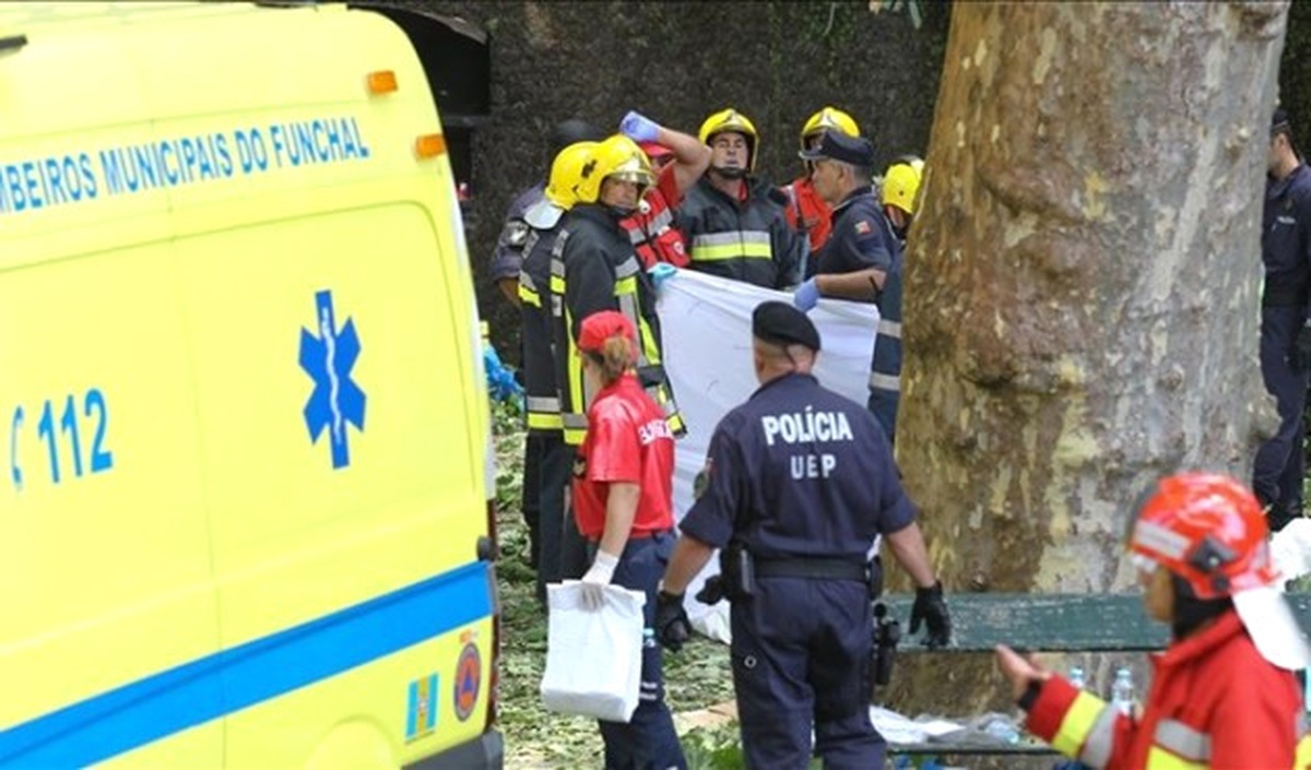 Madeira\'da Ağaç Festival Alanına Devrildi: 11 Kişi Öldü