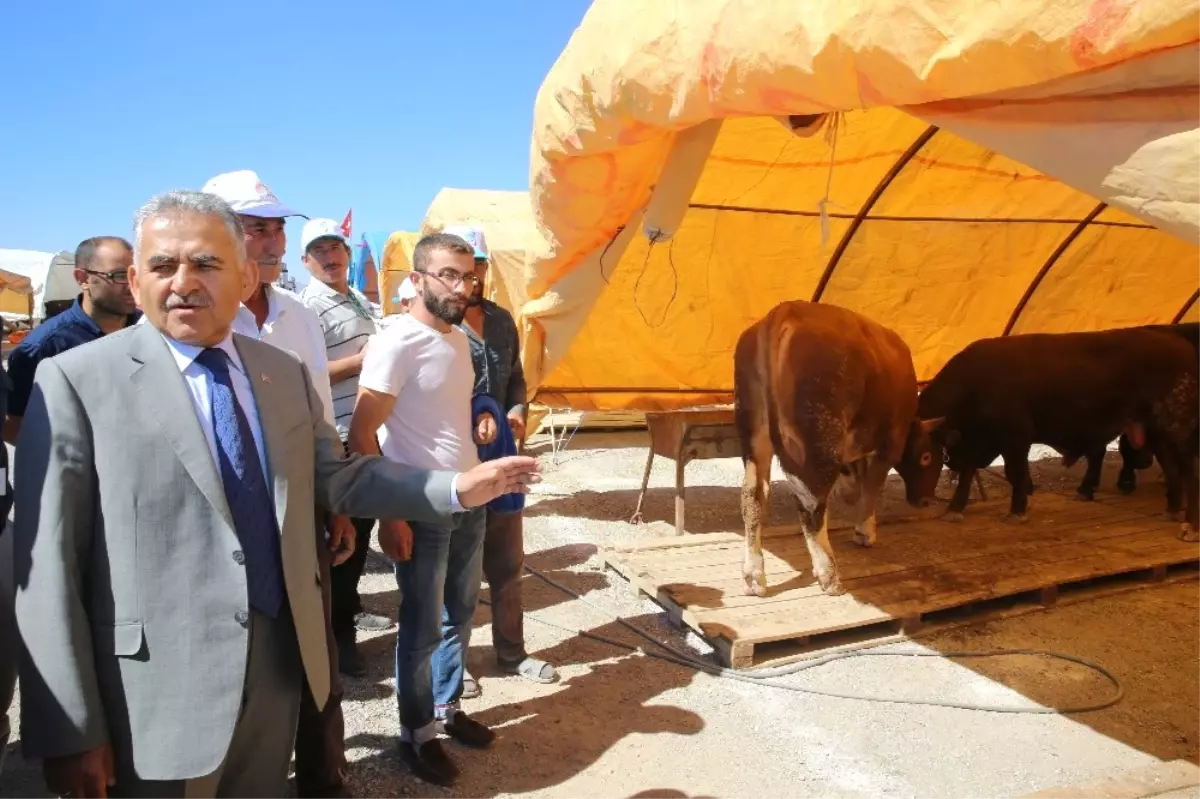 Melikgazi\'de Kurban Pazarı Hazır