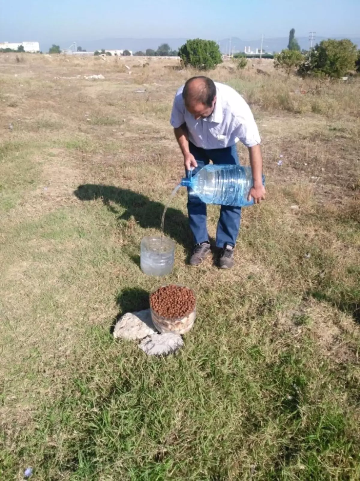 Sokak Hayvanları Sahipsiz Değil