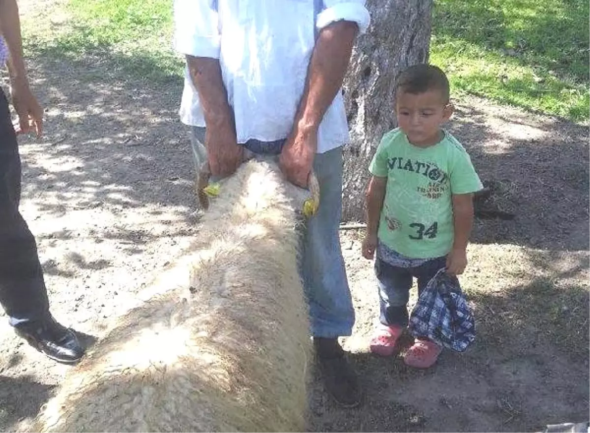 Taktörde Babasının Kucağından Düşen 4 Yaşındaki Emir Öldü