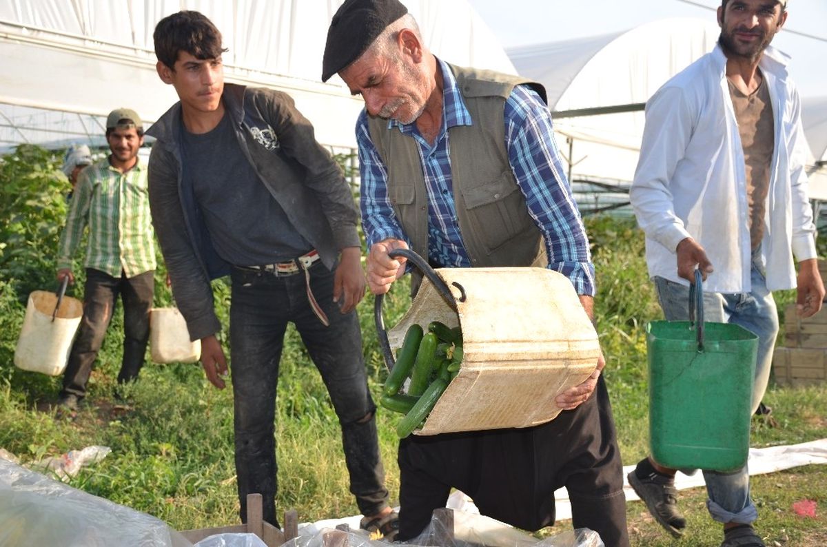 Yerinde 50 Kuruş, Pazarda 2 Tl