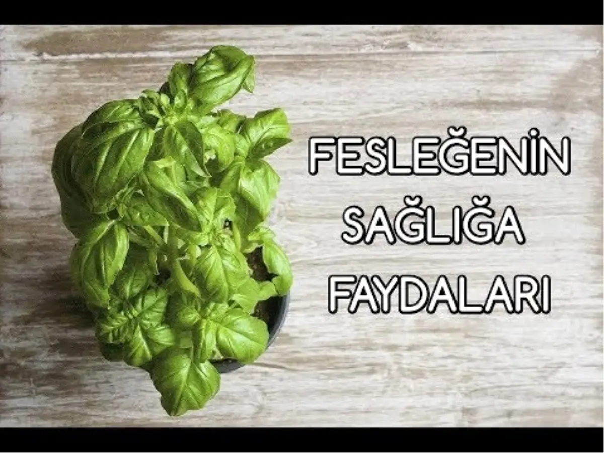 Fesleğenin Sağlığa Faydaları