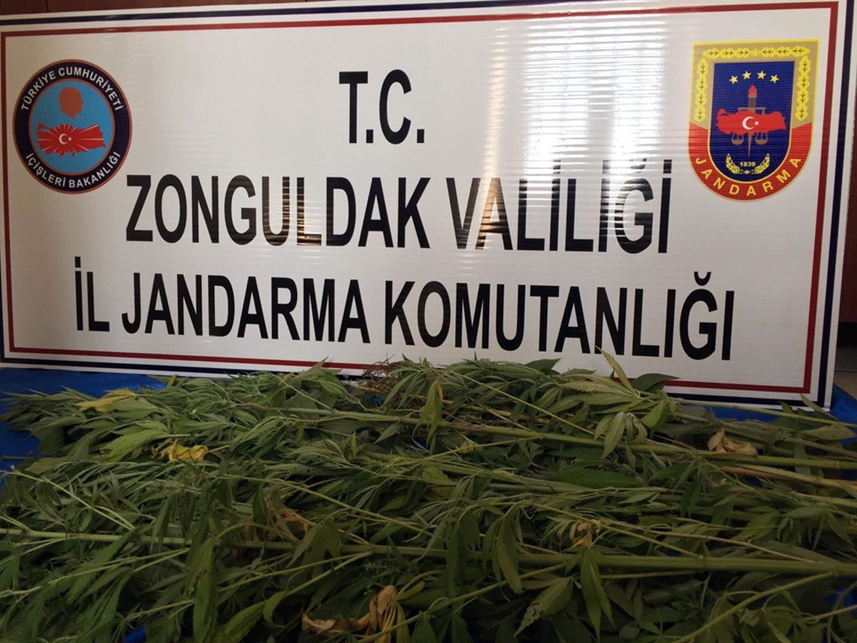 Jandarmadan Kenevir Operasyonu
