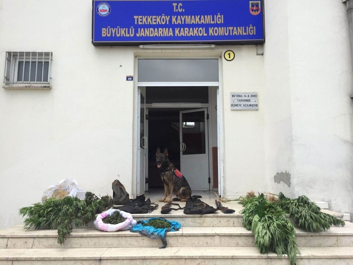 Jandarmadan Uyuşturucu Operasyonu: 3 Gözaltı