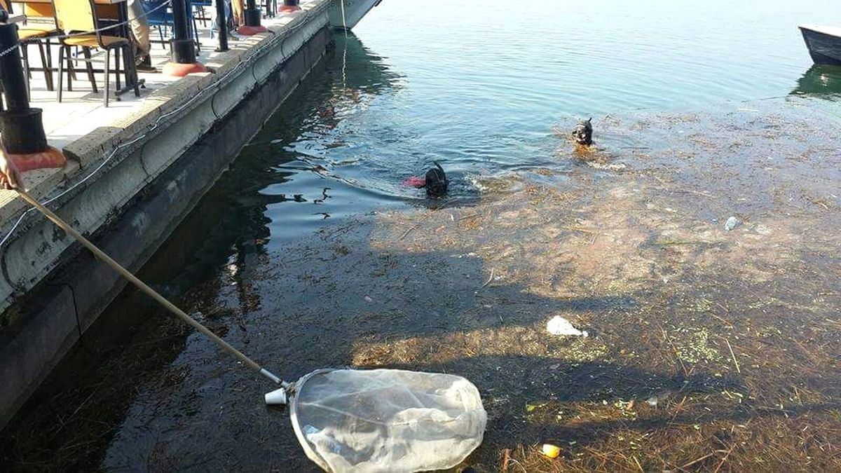 Köyceğiz\'de Sualtı ve Kıyı Temizliği