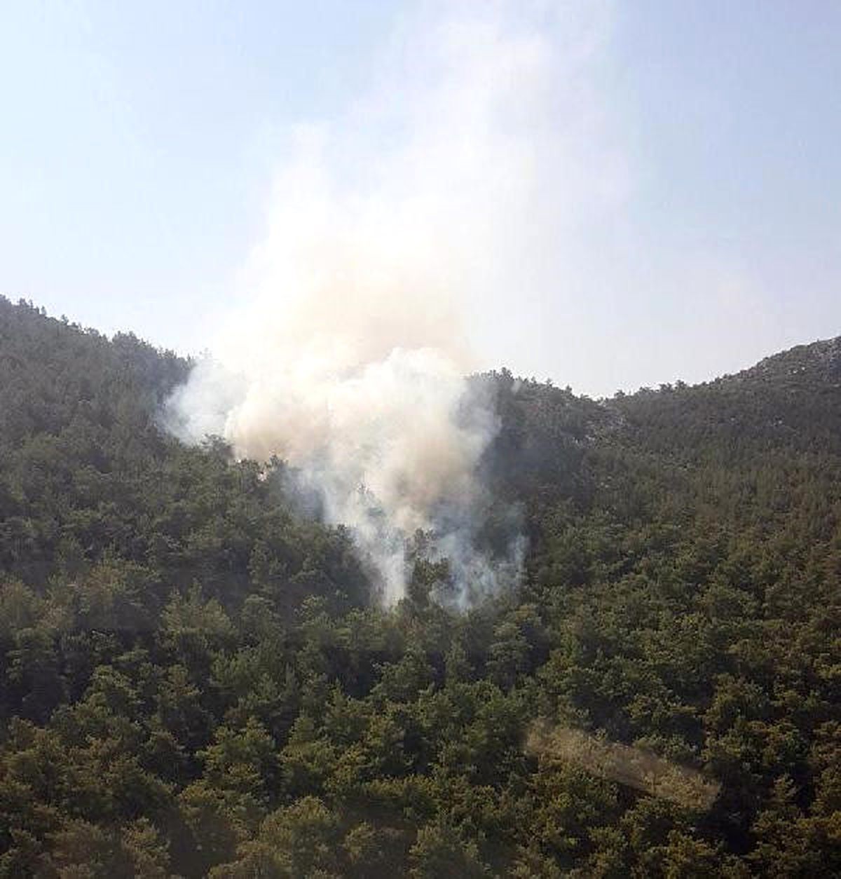 Milas\'ta Orman Yangını