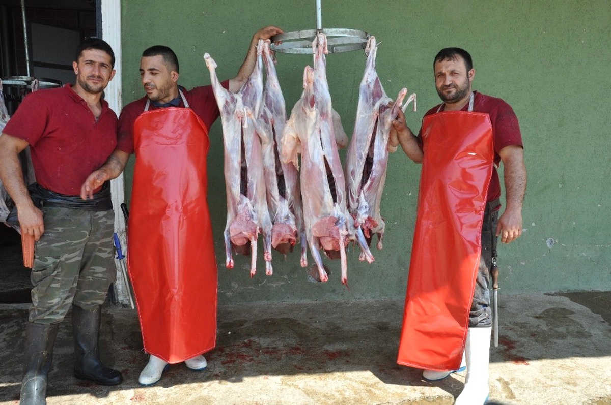 Muş\'ta Mezbahanelerde Bayram Hazırlığı