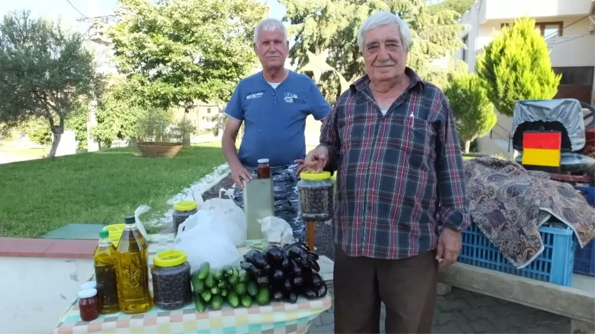 Taylıeli\'nde Başarılı Çiftçi Komşularına Örnek Oldu