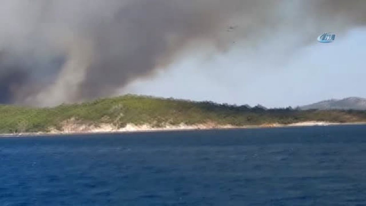 Ayvalık\'ta Orman Yangını