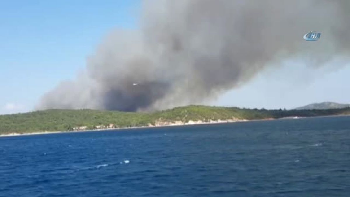 Ayvalık\' Ta Orman Yangını
