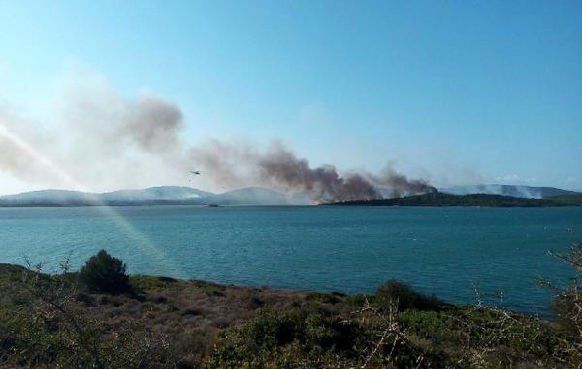 Ayvalık\'ta Orman Yangını (6)