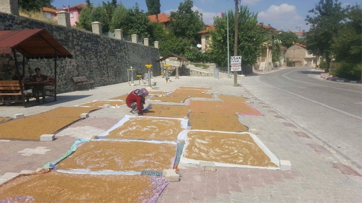 Bulgurluk Buğdaylar Yol Kenarlarında Kurutuluyor