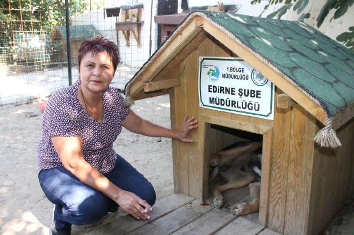 Edirne\'de Sokak Hayvanlarının Kulübeleri Çalındı