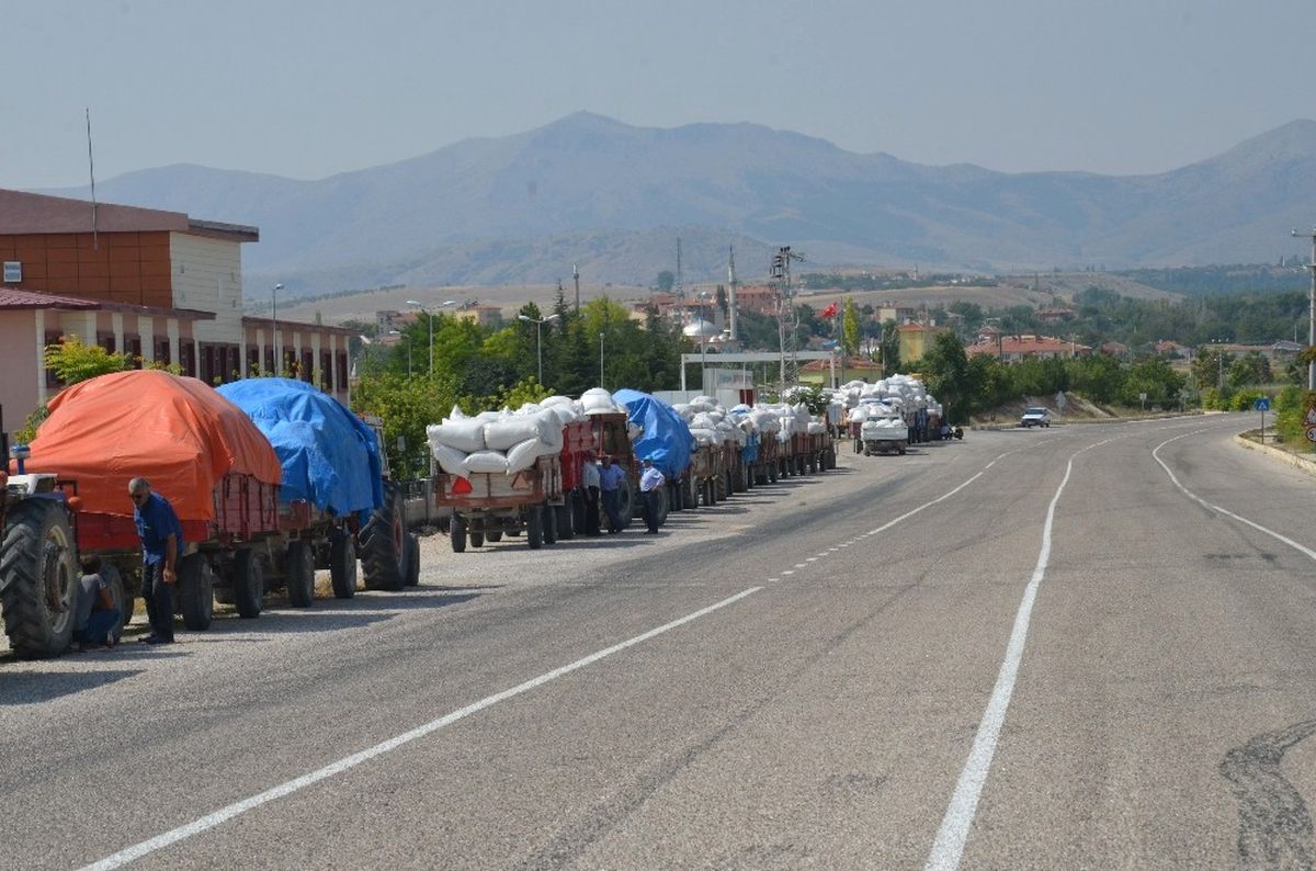 Günyüzü\'nde Haşhaş Kapsül Alımı Başladı