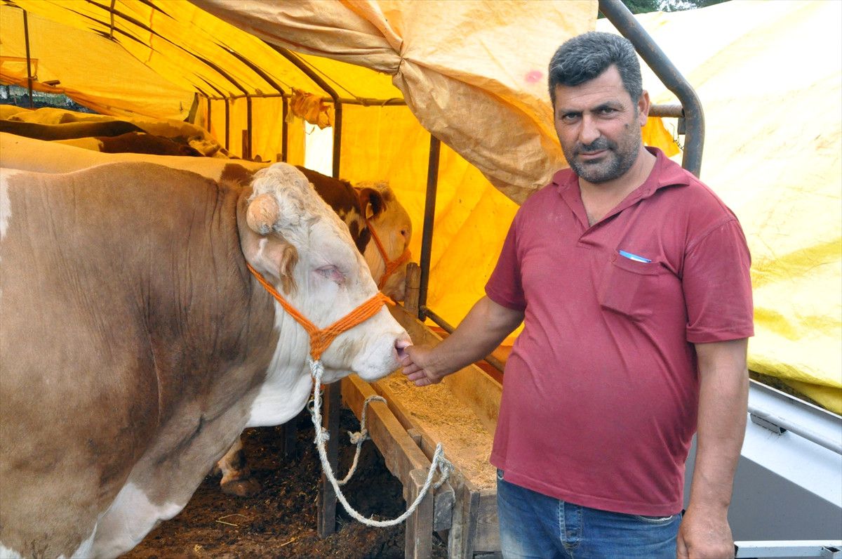 Kurban Bayramı\'na Doğru