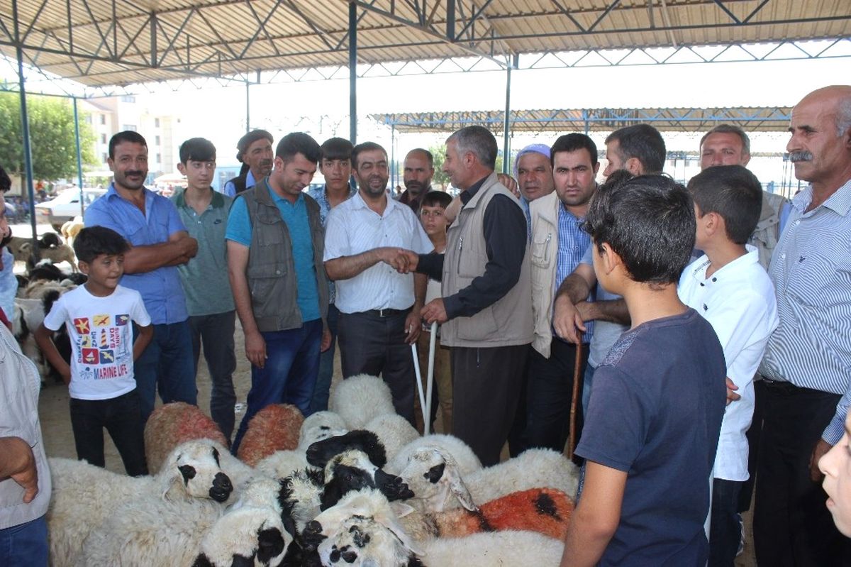 Kurbanlıklar Pazara İndi
