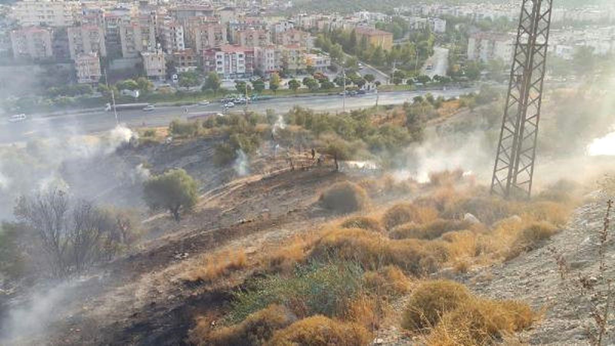 Milas\'ta Bayrak Tepe\'de Yangın