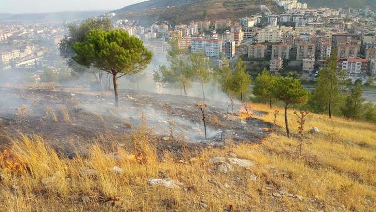 Milas\'ta Bayrak Tepe\'de Yangın