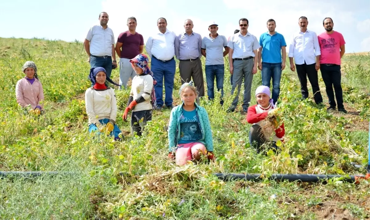 Aksaray\'da Yapılan Gölet Kıraç Topraklara Hayat Verdi