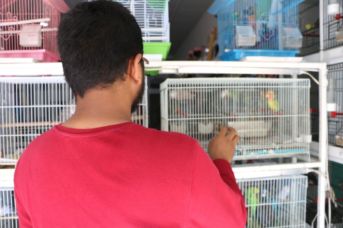 Petshopcular Arasındaki Kopukluk, Sektörü Olumsuz Etkiliyor