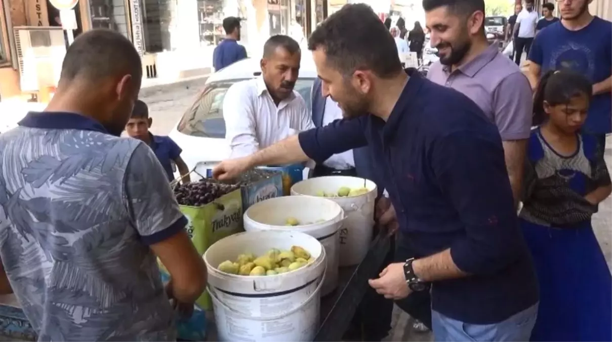 Silopi\'de Yerli İncir Satışları İlgi Görüyor