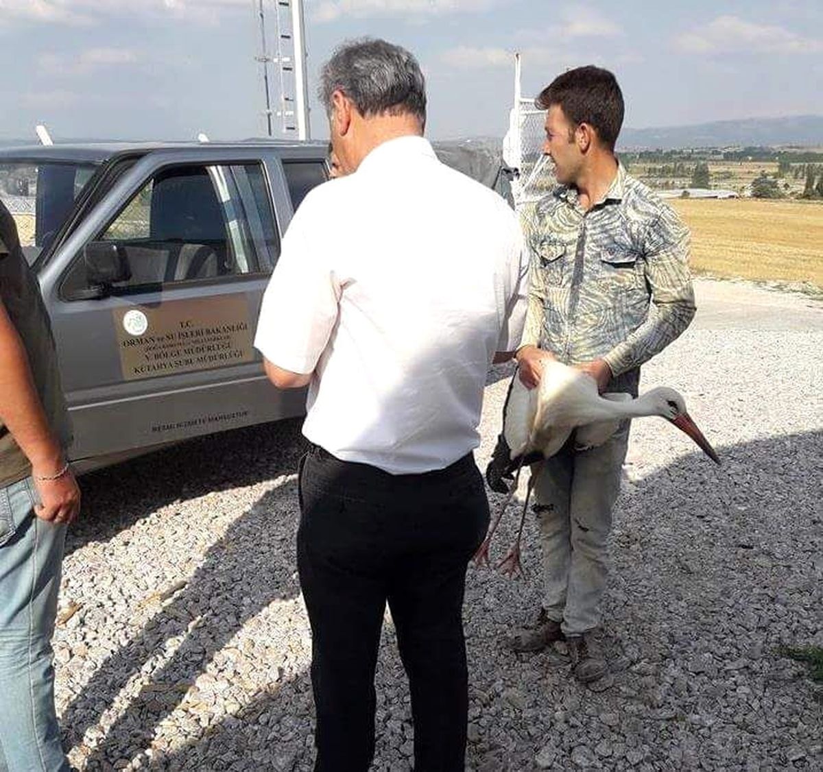 Yaralı Leylek, Hayvanları Koruma Derneği\'ne Teslim Edildi