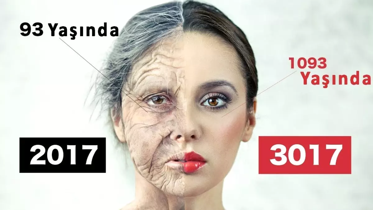 1000 Yıl Sonraki Dünya